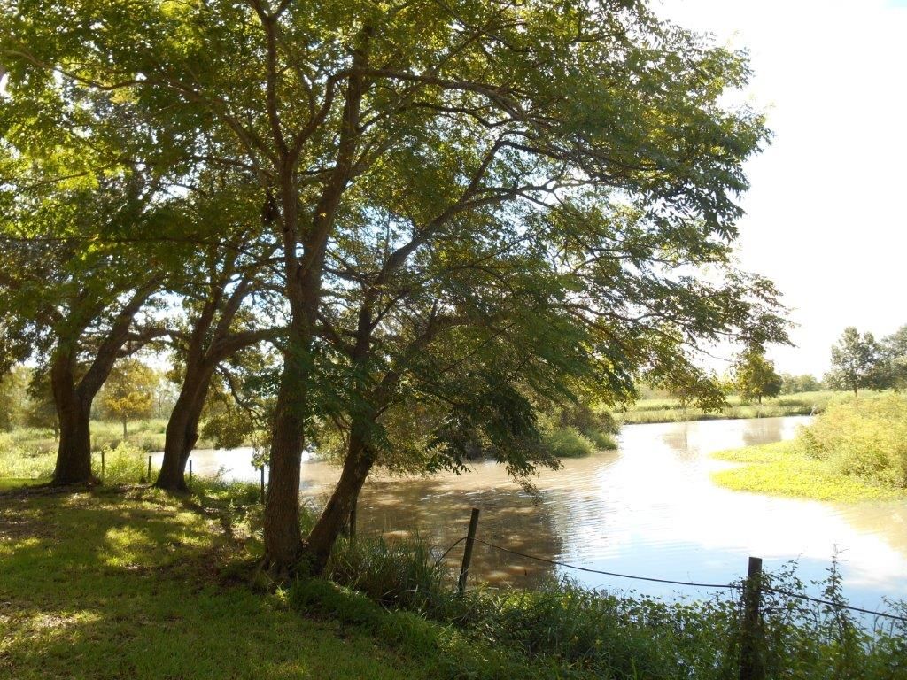 13505 Junius Rd, Abbeville, LA 70510